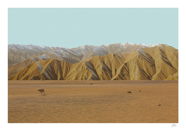Fleece Mountain